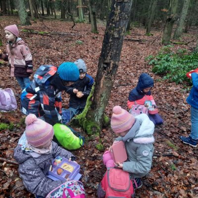Foto des Albums: Tierspuren im Winter - ein Unterrichtsgang der Klasse 1b