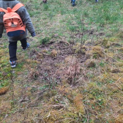 Foto des Albums: Tierspuren im Winter - ein Unterrichtsgang der Klasse 1b