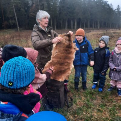 Foto des Albums: Tierspuren im Winter - ein Unterrichtsgang der Klasse 1b