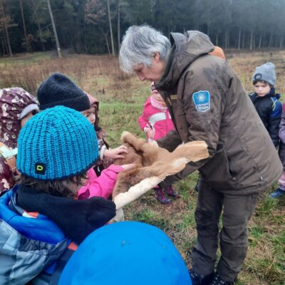 Foto des Albums: Tierspuren im Winter - ein Unterrichtsgang der Klasse 1b