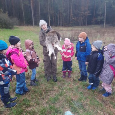 Foto des Albums: Tierspuren im Winter - ein Unterrichtsgang der Klasse 1b