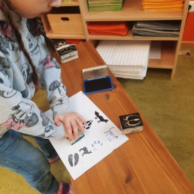 Foto des Albums: Tierspuren im Winter - ein Unterrichtsgang der Klasse 1b