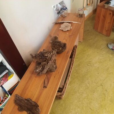 Foto des Albums: Tierspuren im Winter - ein Unterrichtsgang der Klasse 1b