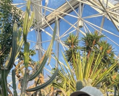 Foto des Albums: Grugatag der S4