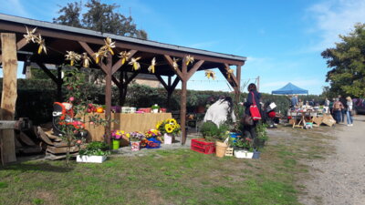 Foto des Albums: Dorfflohmarkt 2021