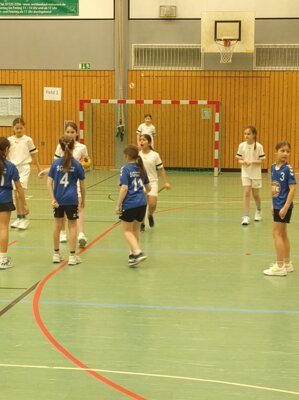 Foto des Albums: Handballturnier Gaggenau 2024