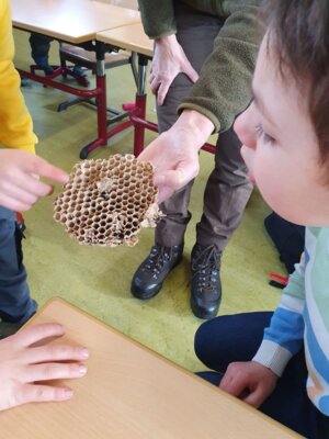 Foto des Albums: Tierspuren im Winter - ein Unterrichtsgang der Klasse 1a