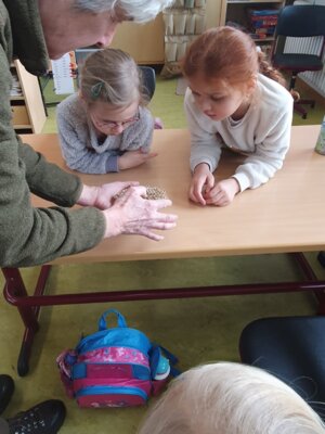 Foto des Albums: Tierspuren im Winter - ein Unterrichtsgang der Klasse 1a