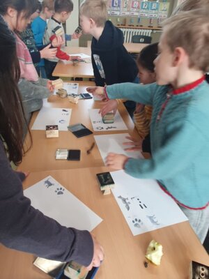 Foto des Albums: Tierspuren im Winter - ein Unterrichtsgang der Klasse 1a
