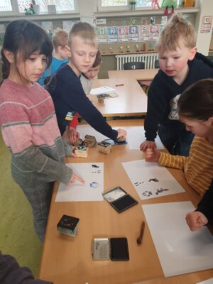 Foto des Albums: Tierspuren im Winter - ein Unterrichtsgang der Klasse 1a