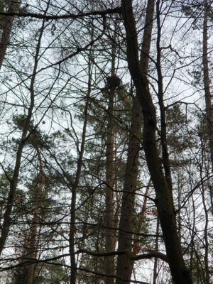 Foto des Albums: Tierspuren im Winter - ein Unterrichtsgang der Klasse 1a
