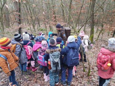 Foto des Albums: Tierspuren im Winter - ein Unterrichtsgang der Klasse 1a