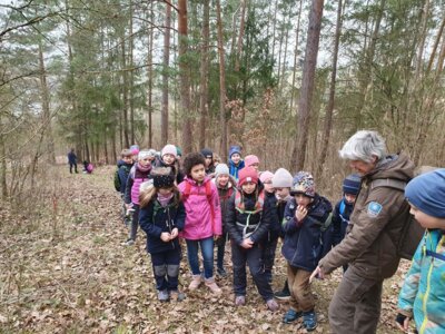 Foto des Albums: Im Wald gibt es viel zu entdecken