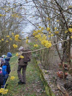 Foto des Albums: Im Wald gibt es viel zu entdecken
