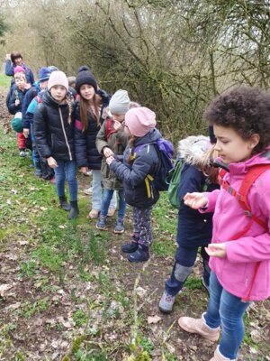 Foto des Albums: Im Wald gibt es viel zu entdecken