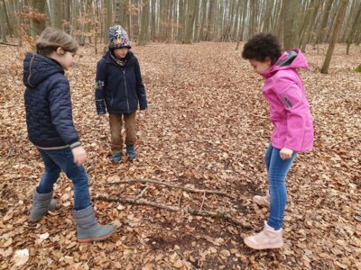 Foto des Albums: Im Wald gibt es viel zu entdecken