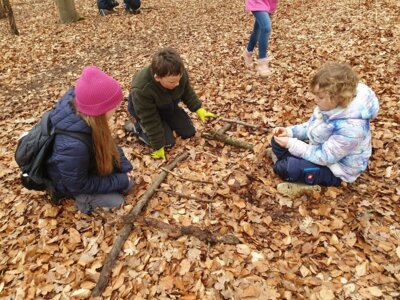 Foto des Albums: Im Wald gibt es viel zu entdecken
