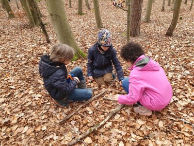Foto des Albums: Im Wald gibt es viel zu entdecken