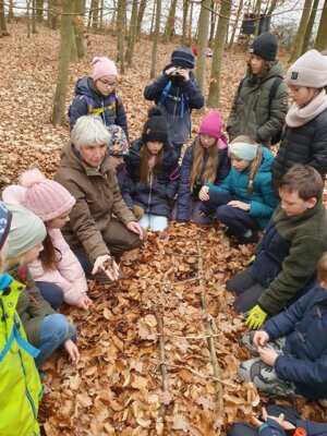 Foto des Albums: Im Wald gibt es viel zu entdecken