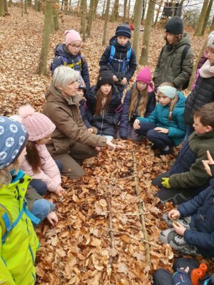 Foto des Albums: Im Wald gibt es viel zu entdecken