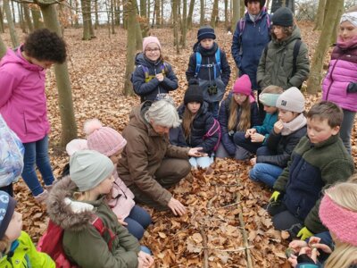 Foto des Albums: Im Wald gibt es viel zu entdecken