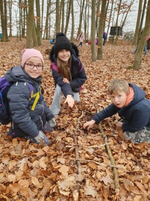 Foto des Albums: Im Wald gibt es viel zu entdecken