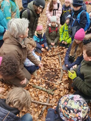 Foto des Albums: Im Wald gibt es viel zu entdecken