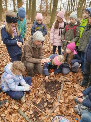Foto des Albums: Im Wald gibt es viel zu entdecken
