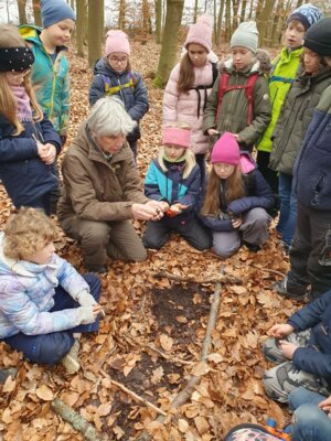 Foto des Albums: Im Wald gibt es viel zu entdecken