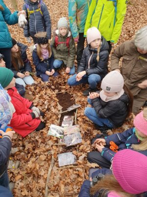 Foto des Albums: Im Wald gibt es viel zu entdecken