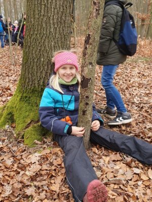 Foto des Albums: Im Wald gibt es viel zu entdecken