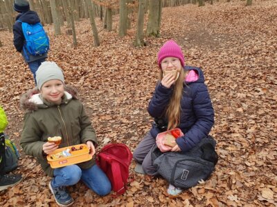 Foto des Albums: Im Wald gibt es viel zu entdecken