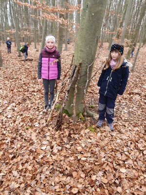 Foto des Albums: Im Wald gibt es viel zu entdecken