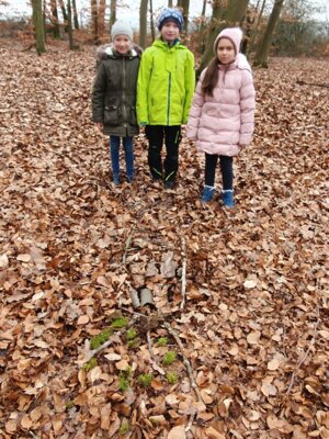 Foto des Albums: Im Wald gibt es viel zu entdecken