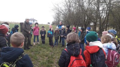 Foto des Albums: Im Wald gibt es viel zu entdecken