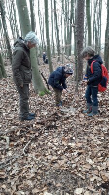 Foto des Albums: Im Wald gibt es viel zu entdecken