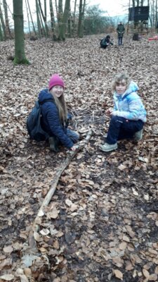Foto des Albums: Im Wald gibt es viel zu entdecken