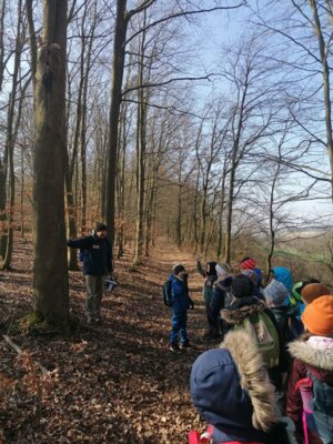 Foto des Albums: Im Wald gibt es viel zu entdecken