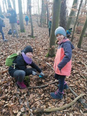 Foto des Albums: Im Wald gibt es viel zu entdecken