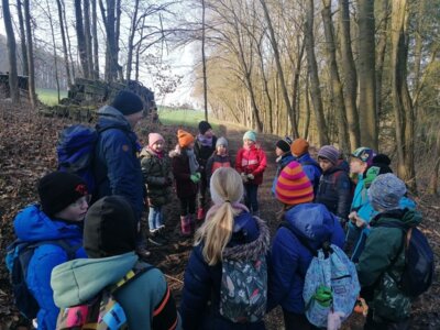Foto des Albums: Im Wald gibt es viel zu entdecken