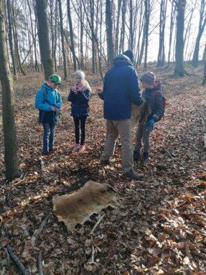 Foto des Albums: Im Wald gibt es viel zu entdecken