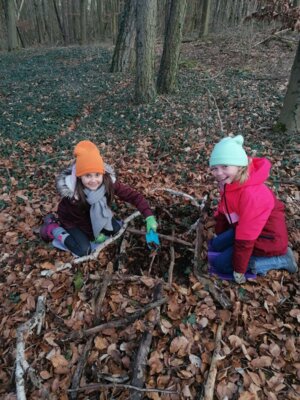 Foto des Albums: Im Wald gibt es viel zu entdecken