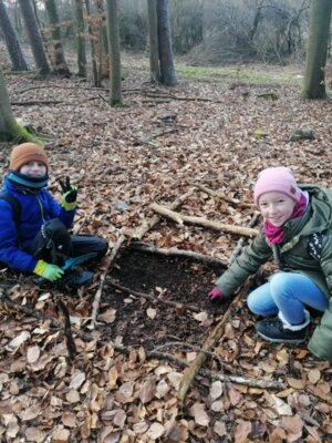 Foto des Albums: Im Wald gibt es viel zu entdecken