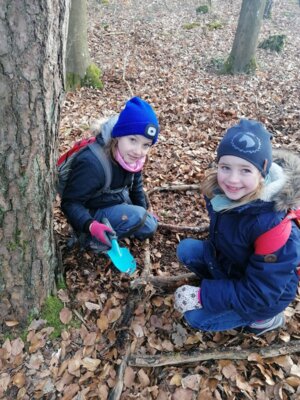 Foto des Albums: Im Wald gibt es viel zu entdecken