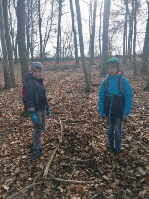 Foto des Albums: Im Wald gibt es viel zu entdecken