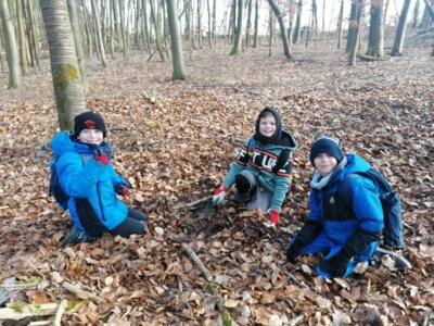 Foto des Albums: Im Wald gibt es viel zu entdecken