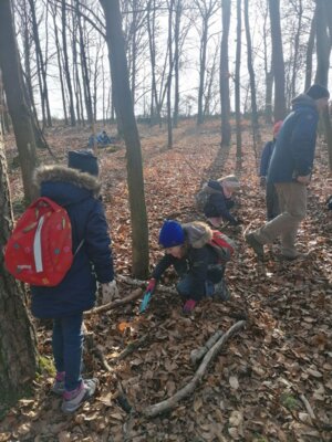 Foto des Albums: Im Wald gibt es viel zu entdecken