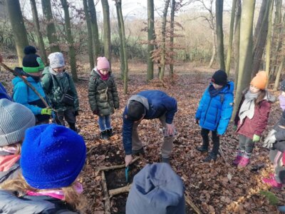 Foto des Albums: Im Wald gibt es viel zu entdecken