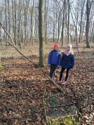 Foto des Albums: Im Wald gibt es viel zu entdecken