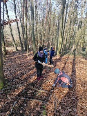 Foto des Albums: Im Wald gibt es viel zu entdecken